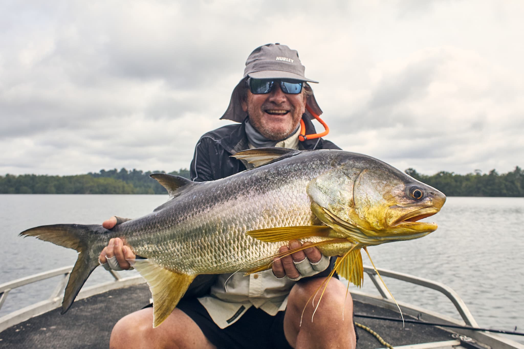 Giant African threadfin