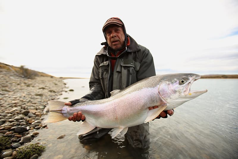Steelhead